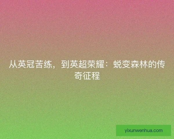 从英冠苦练，到英超荣耀：蜕变森林的传奇征程